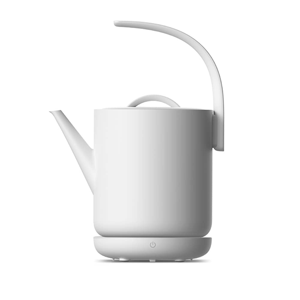 850ml Stainless Steel Electric Kettle with Auto Shut-Off