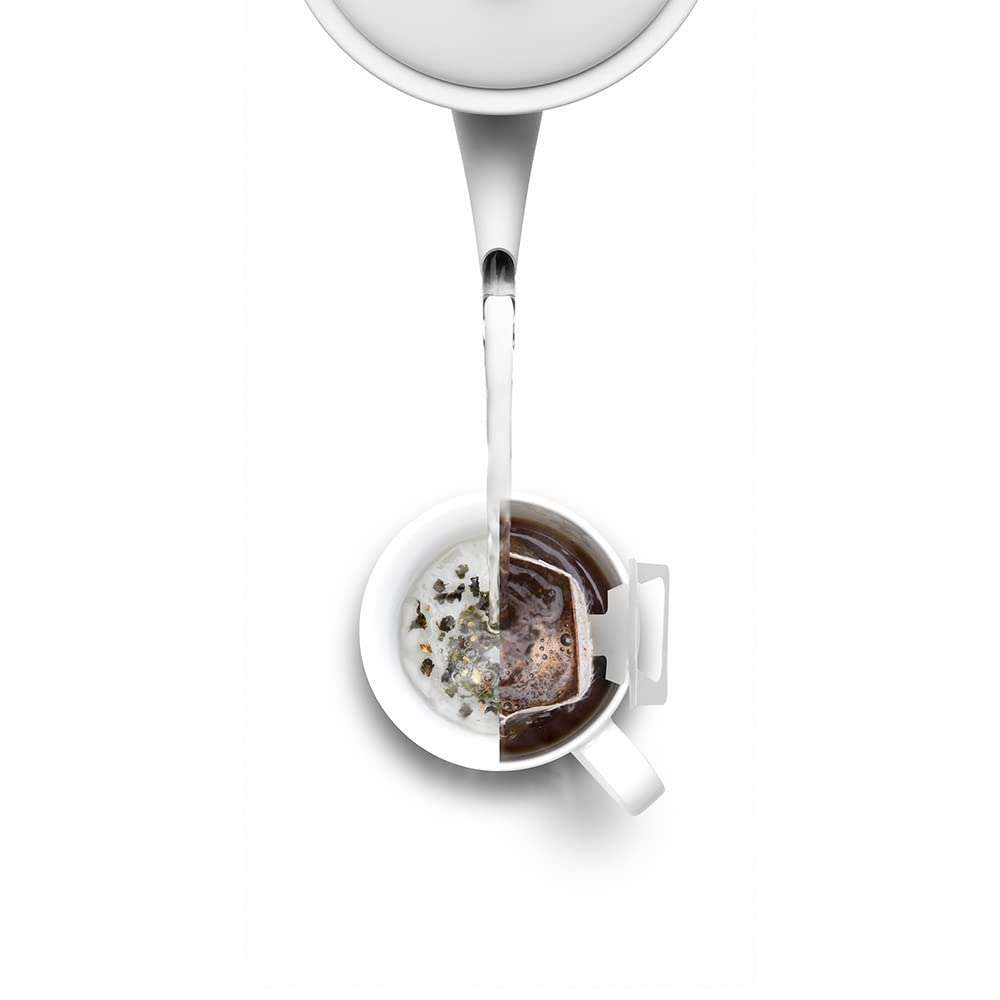 850ml Stainless Steel Electric Kettle with Auto Shut-Off