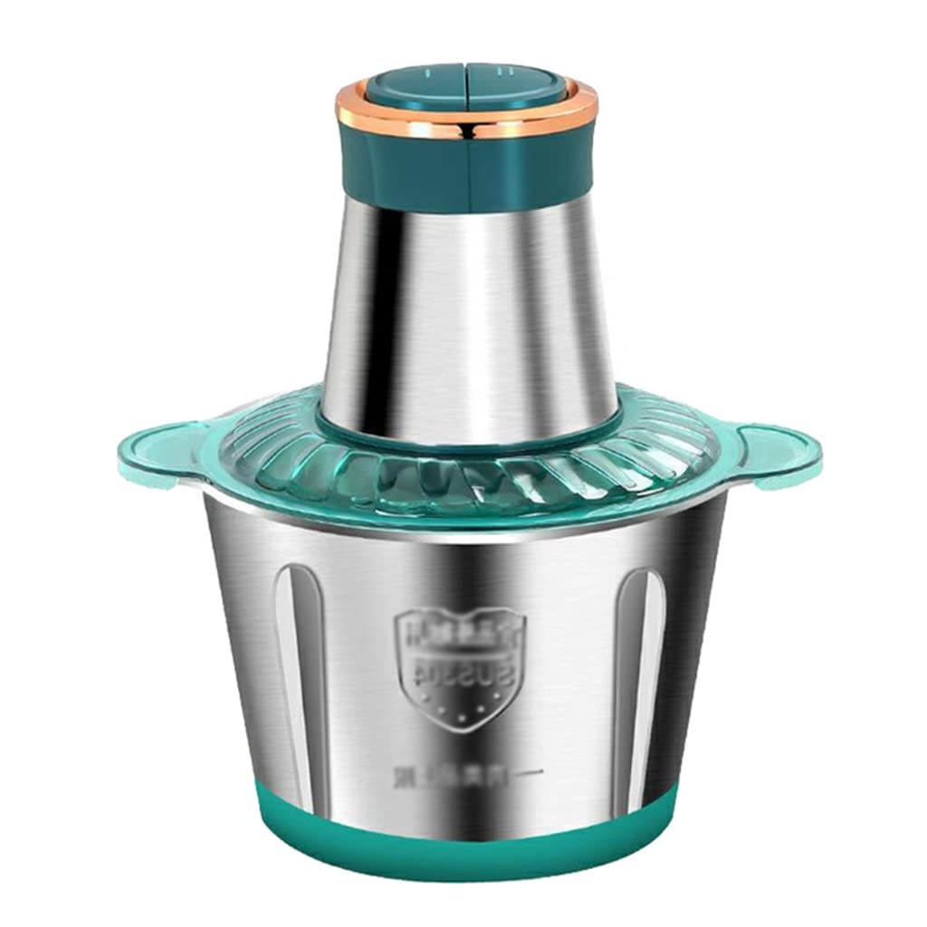 250W Stainless Steel Electric Meat Grinder & Food Chopper with 2 Speeds