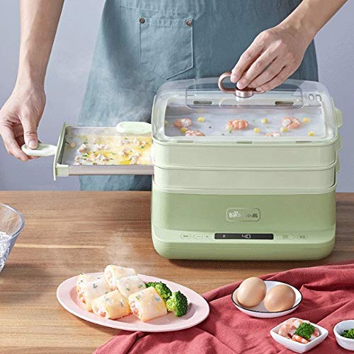 Electric Rice Roll Steamer & Multifunctional Breakfast Maker