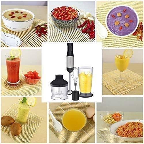 600W 2-Speed Hand Blender with Stainless Steel Whisk Attachments