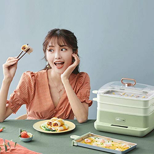 Electric Rice Roll Steamer & Multifunctional Breakfast Maker