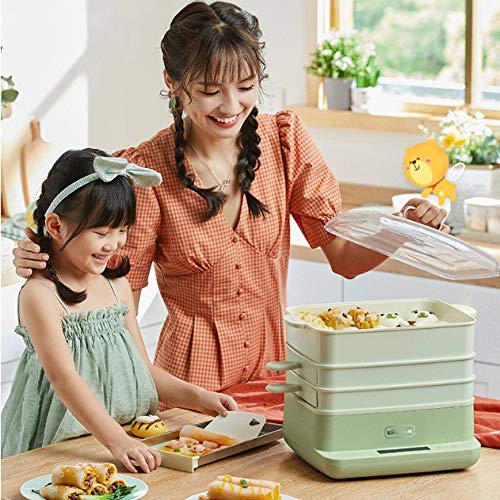 Electric Rice Roll Steamer & Multifunctional Breakfast Maker