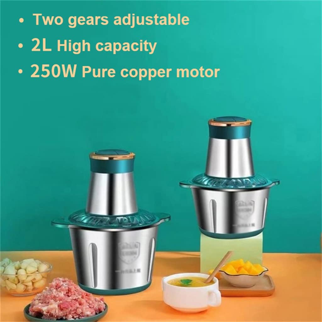 250W Stainless Steel Electric Meat Grinder & Food Chopper with 2 Speeds