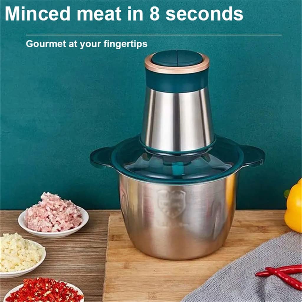 250W Stainless Steel Electric Meat Grinder & Food Chopper with 2 Speeds