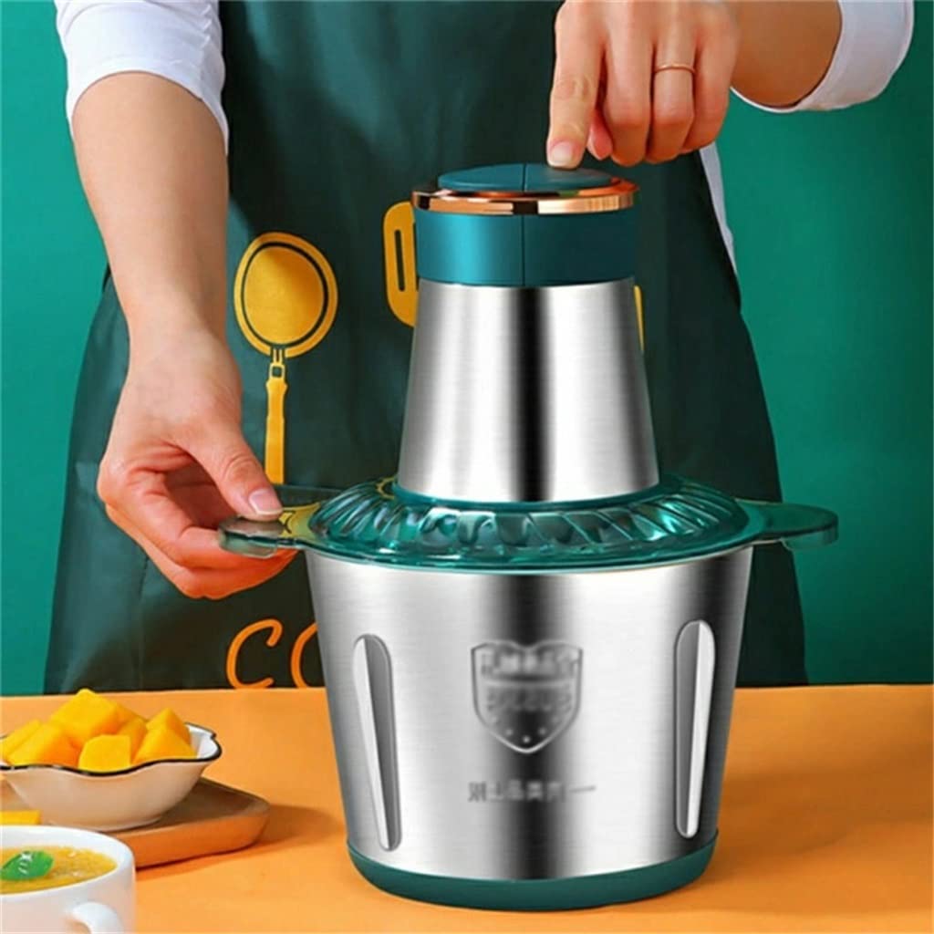 250W Stainless Steel Electric Meat Grinder & Food Chopper with 2 Speeds