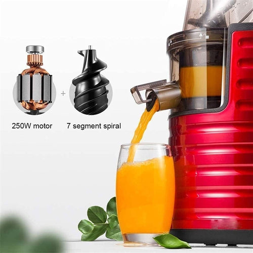 250W Juicer with 3-Inch Feed Chute & Stainless Steel Filter