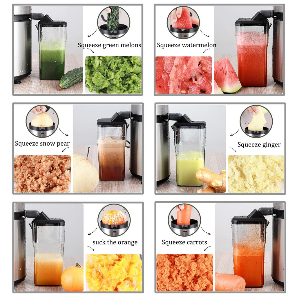 1250W Stainless Steel Centrifugal Juicer with 5-Speed Control